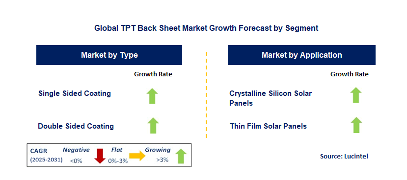 TPT Back Sheet Market by Segment